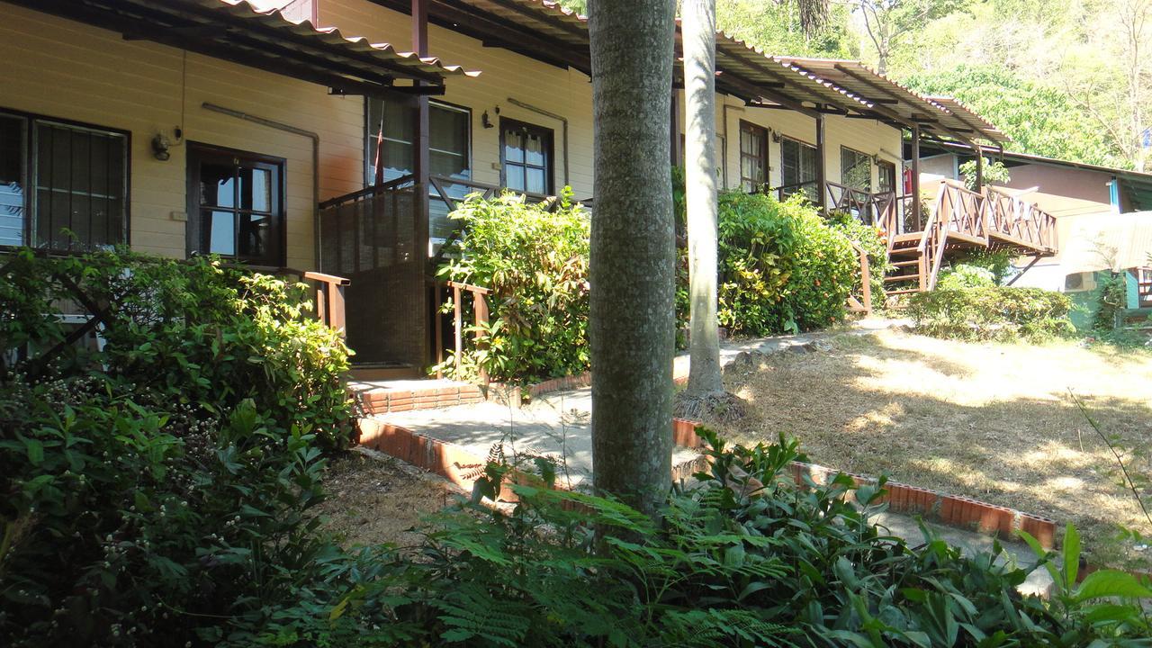 Tropical Garden קו פי פי